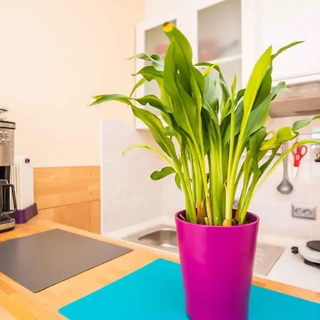 In - Insel 41240 Apartamento *